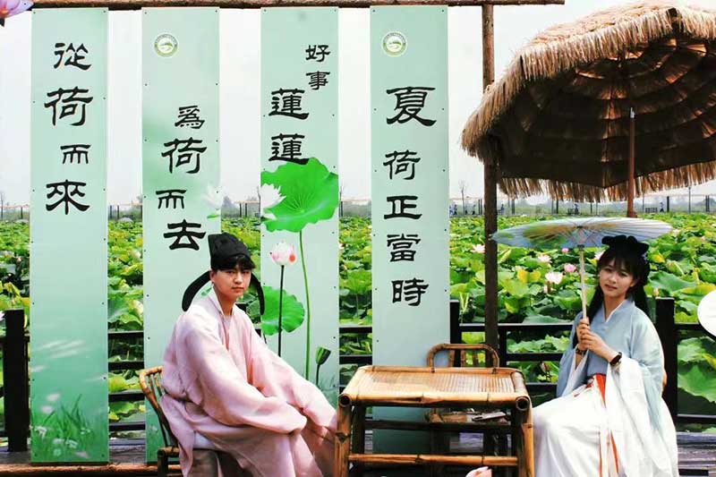 万亩荷塘景区：旅游体验大“上新”