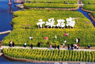 燃！千垛花海开园迎客，民俗踩街锣鼓喧天！