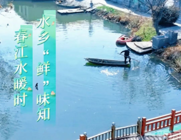 馋哭了！兴化这个村的“九味螺蛳”上了央视！