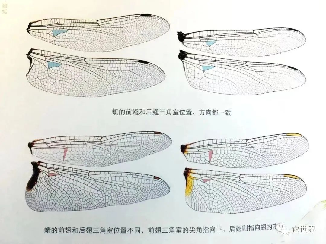 微信图片_20250306101410.jpg