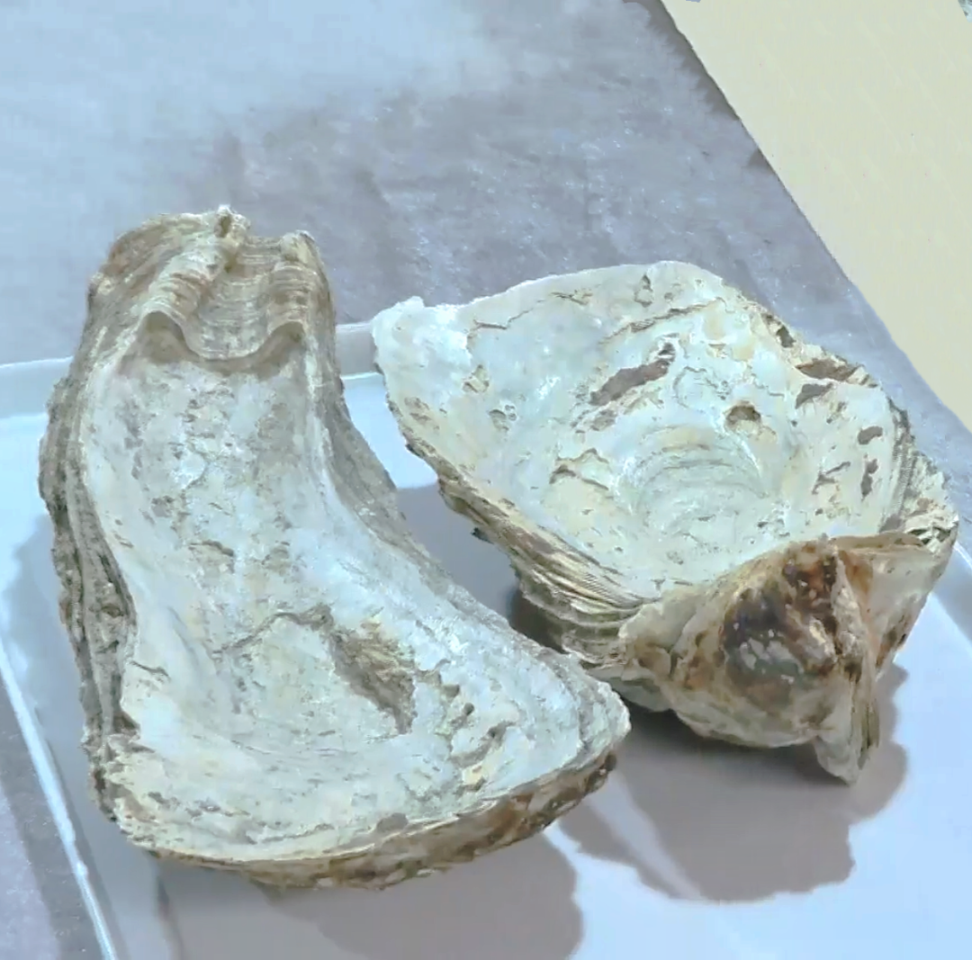 微信图片_20250308142451.png