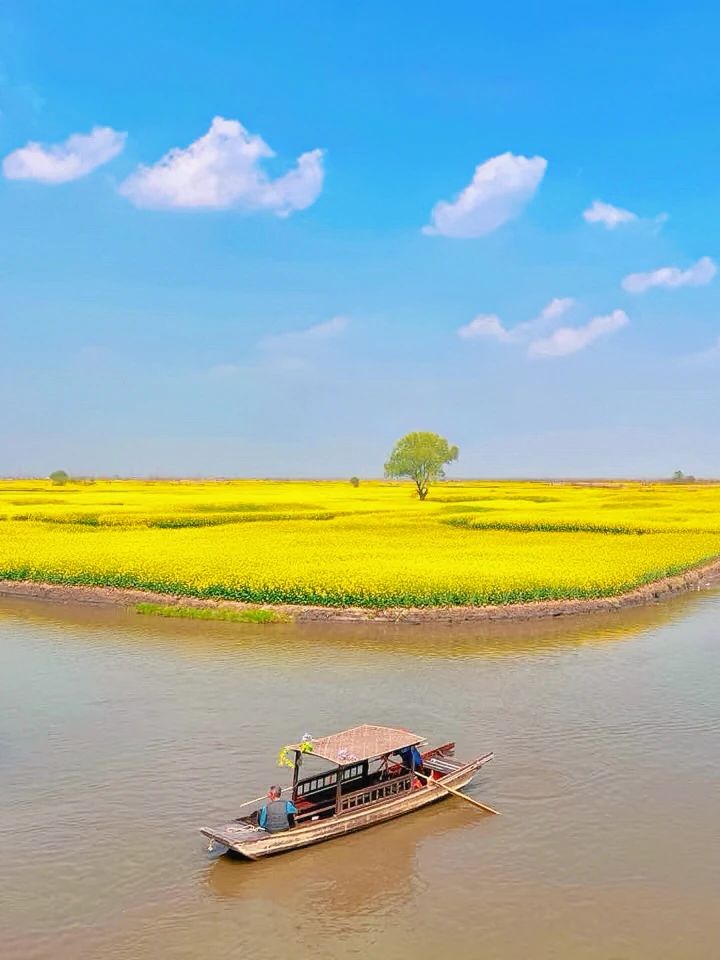 微信图片_20250422084821.jpg