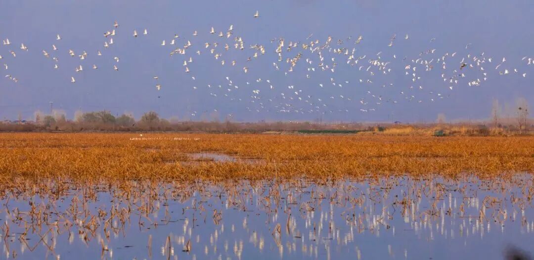 微信图片_2025-12-03_094319_737.jpg 微信图片_2025-12-03_094319_737.jpg