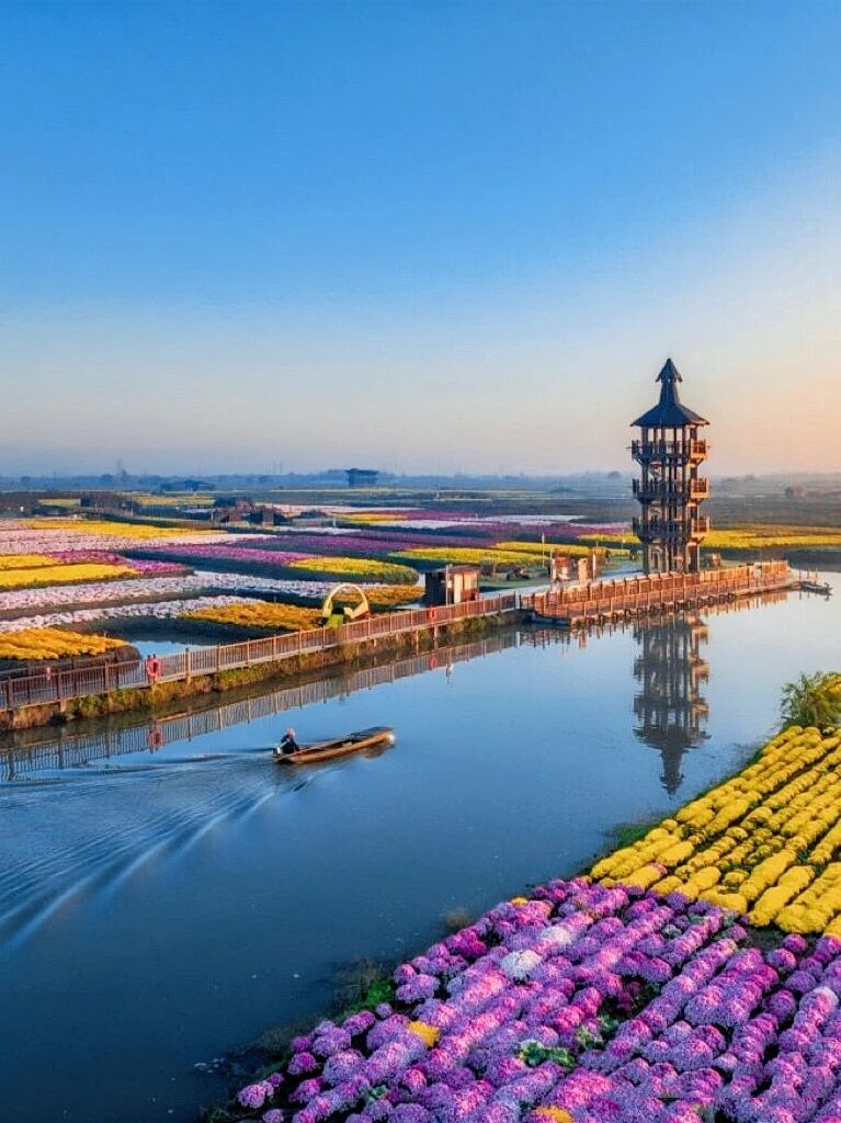 微信图片_2025-12-08_100533_668.jpg 微信图片_2025-12-08_100533_668.jpg