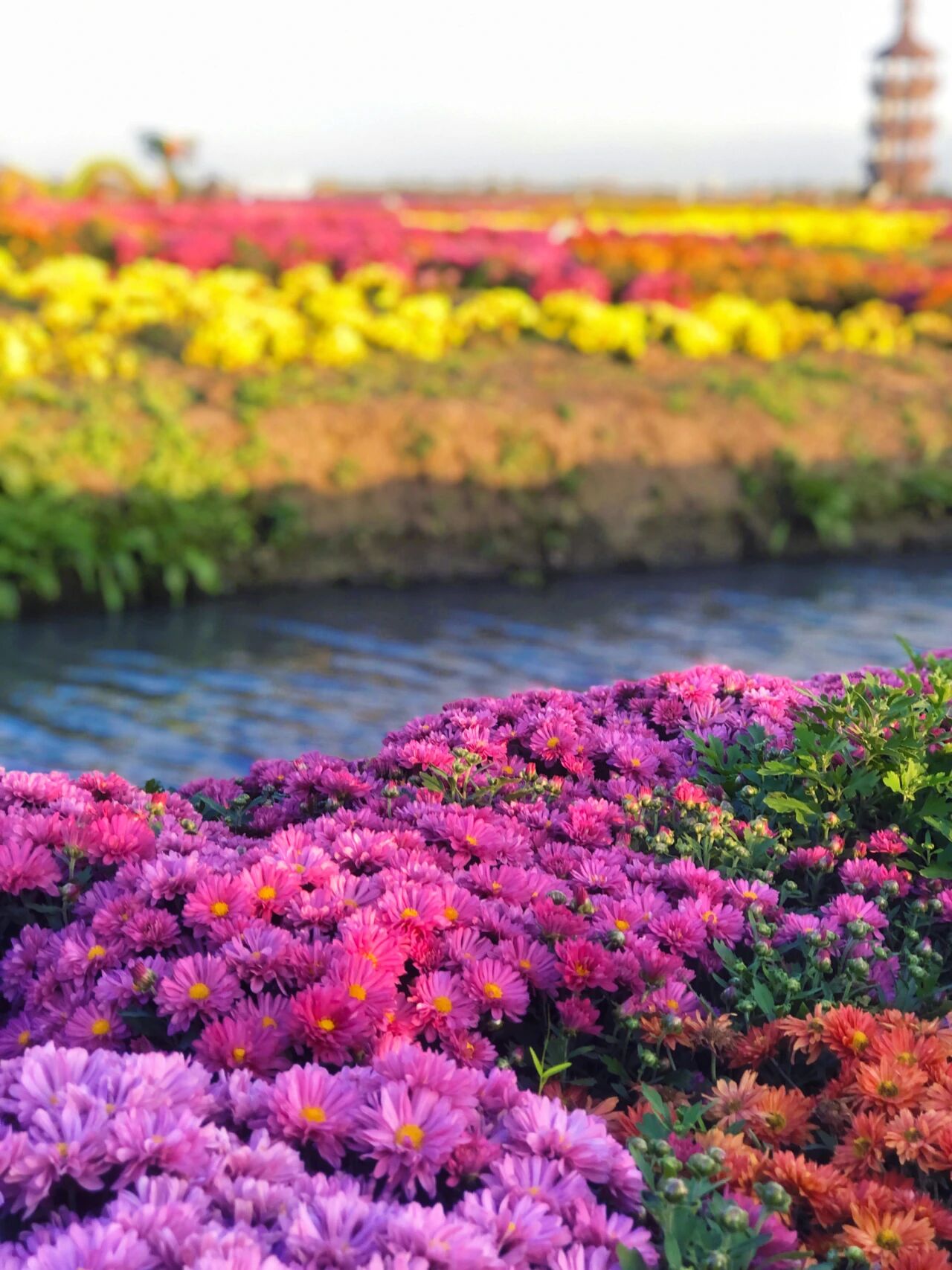 微信图片_2025-12-08_100536_641.jpg 微信图片_2025-12-08_100536_641.jpg