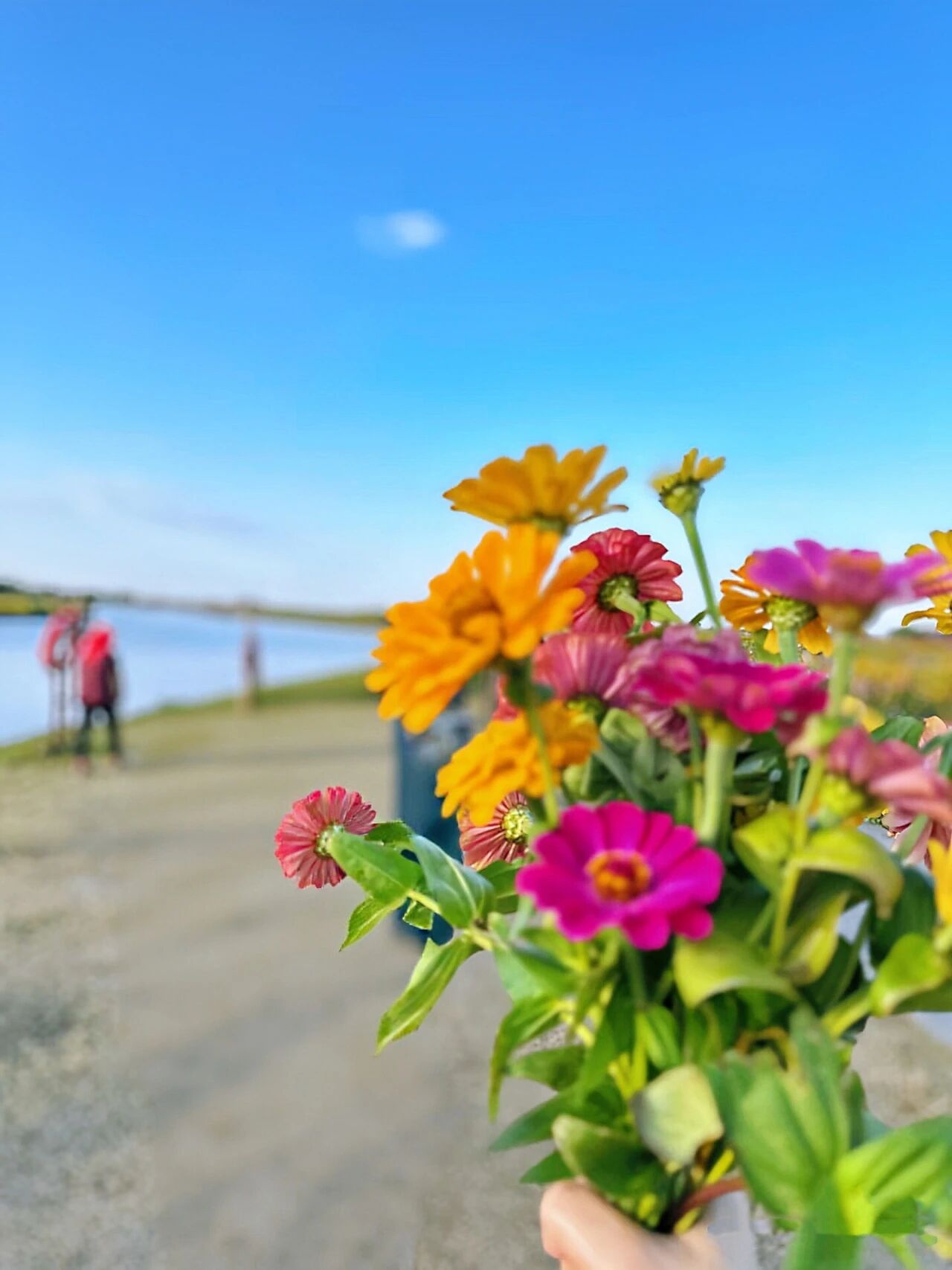 微信图片_2025-12-08_100539_036.jpg 微信图片_2025-12-08_100539_036.jpg