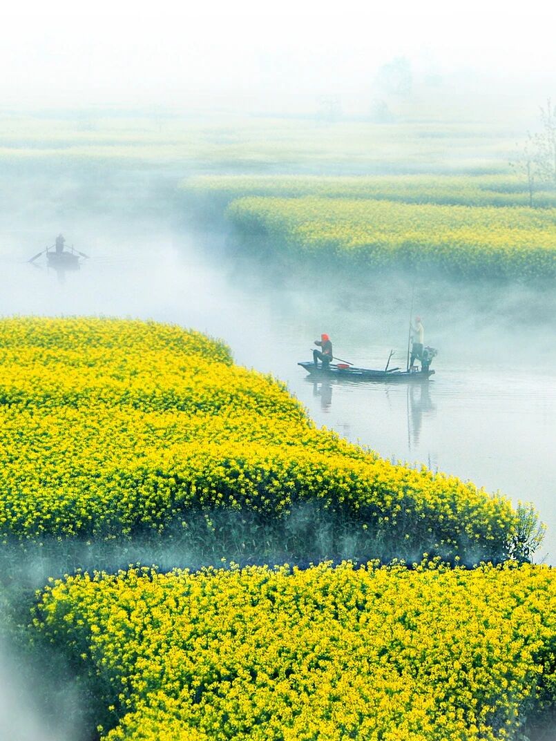 微信图片_2025-12-08_100541_962.jpg 微信图片_2025-12-08_100541_962.jpg