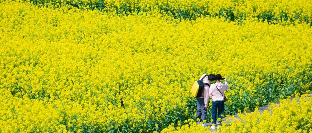 微信图片_2025-12-08_100544_433.jpg 微信图片_2025-12-08_100544_433.jpg