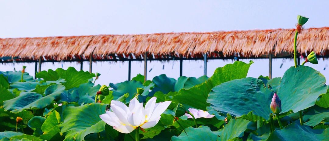 微信图片_2025-12-08_100547_274.jpg 微信图片_2025-12-08_100547_274.jpg