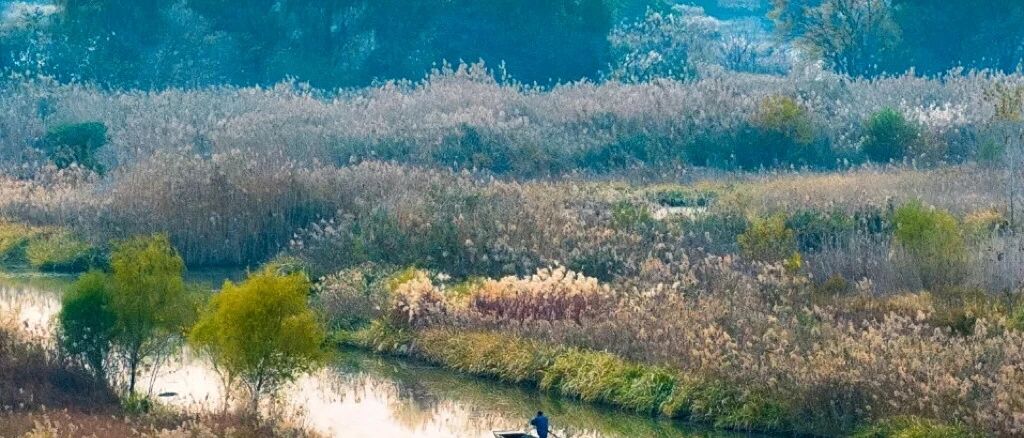 微信图片_2025-12-08_100552_404.jpg 微信图片_2025-12-08_100552_404.jpg